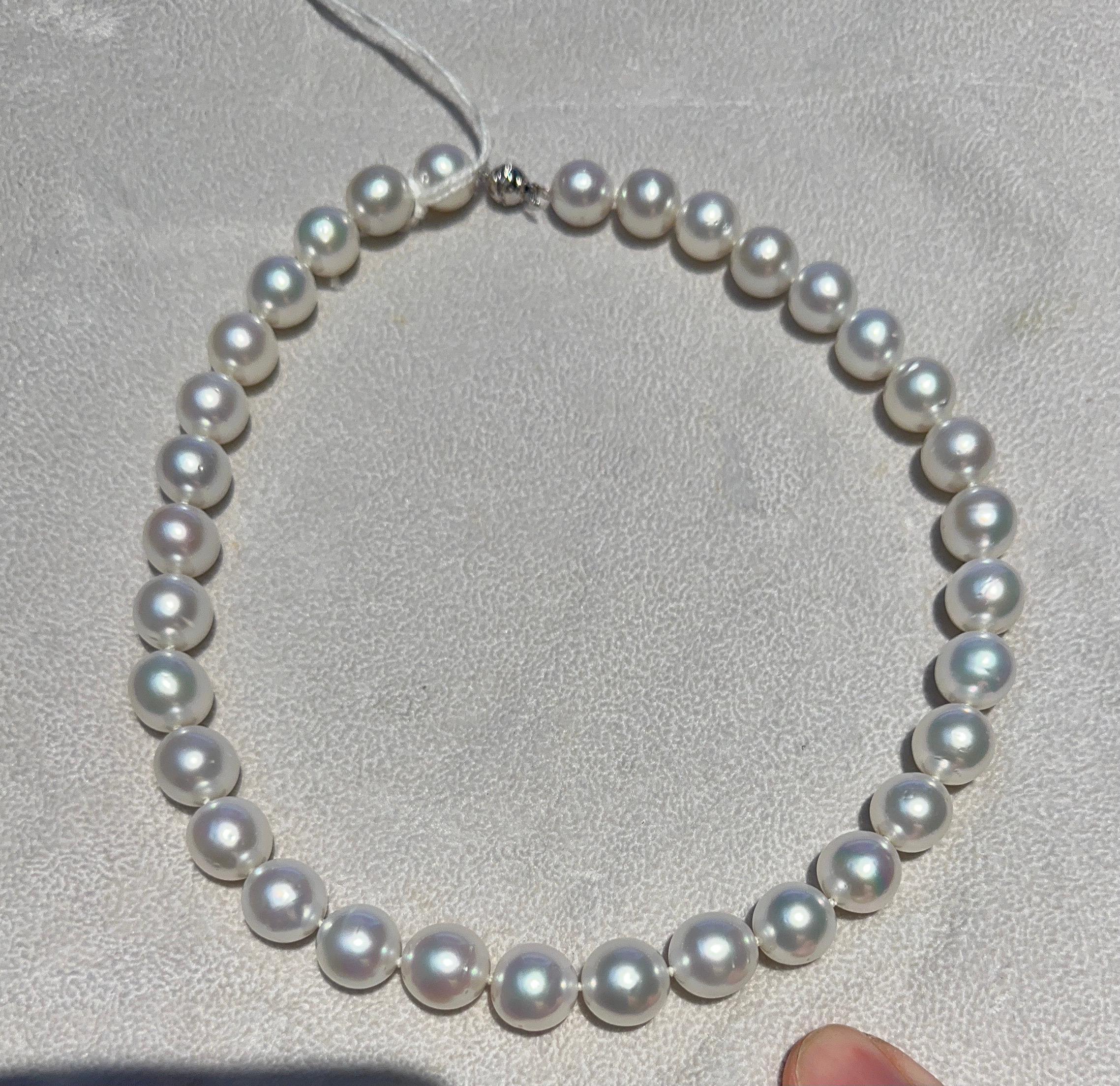 


A strand of Cultured Australian South Sea pearls


GUARANTEED NATURAL COLOUR AND LUSTRE

These pearls display their natural colour and lustre and have not been subjected to chemical enhancements or processes.
SUSTAINABLE

Australian South Sea