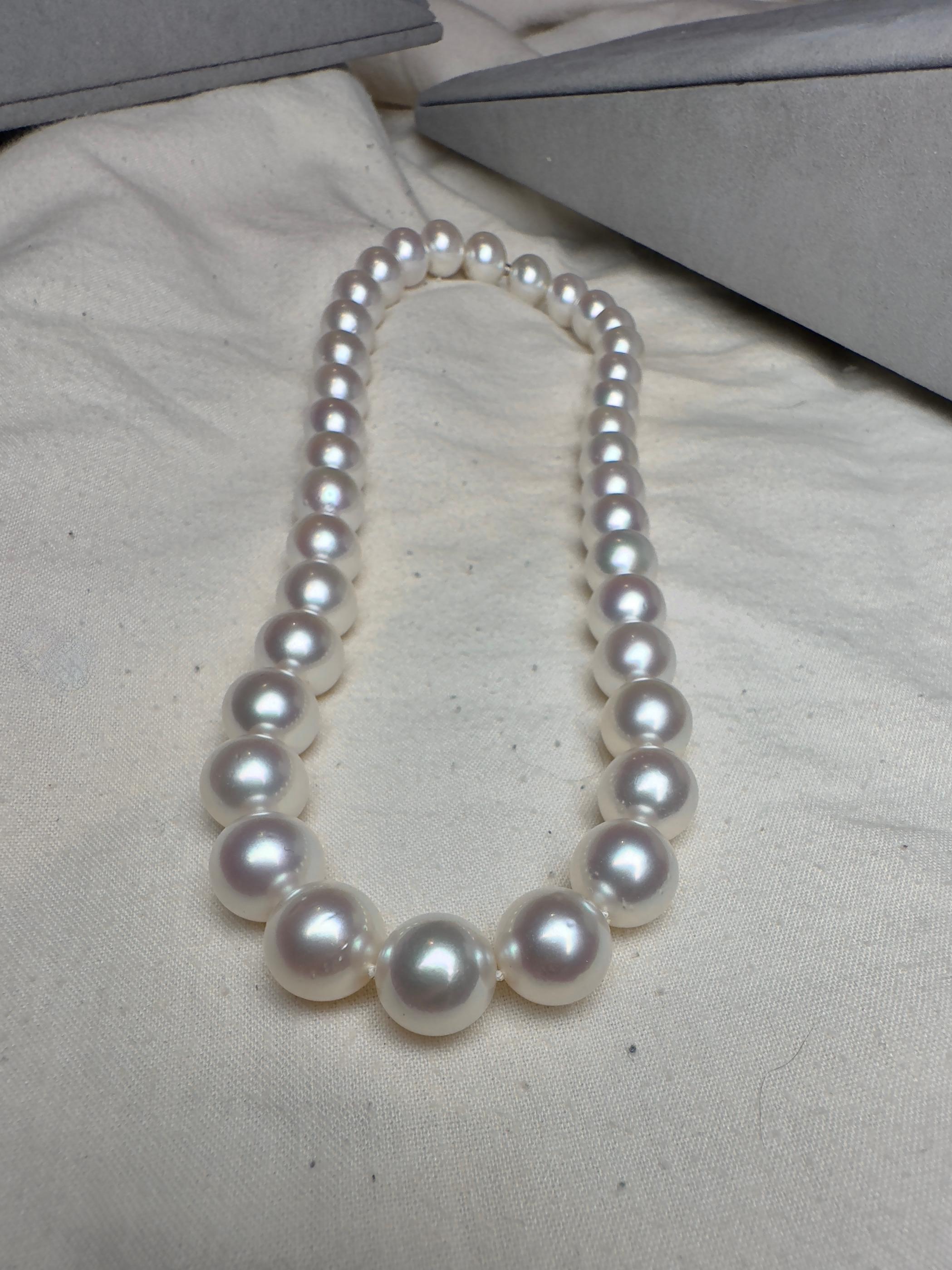 Bead Eostre Australian South Sea  Pearl Strand Necklace For Sale