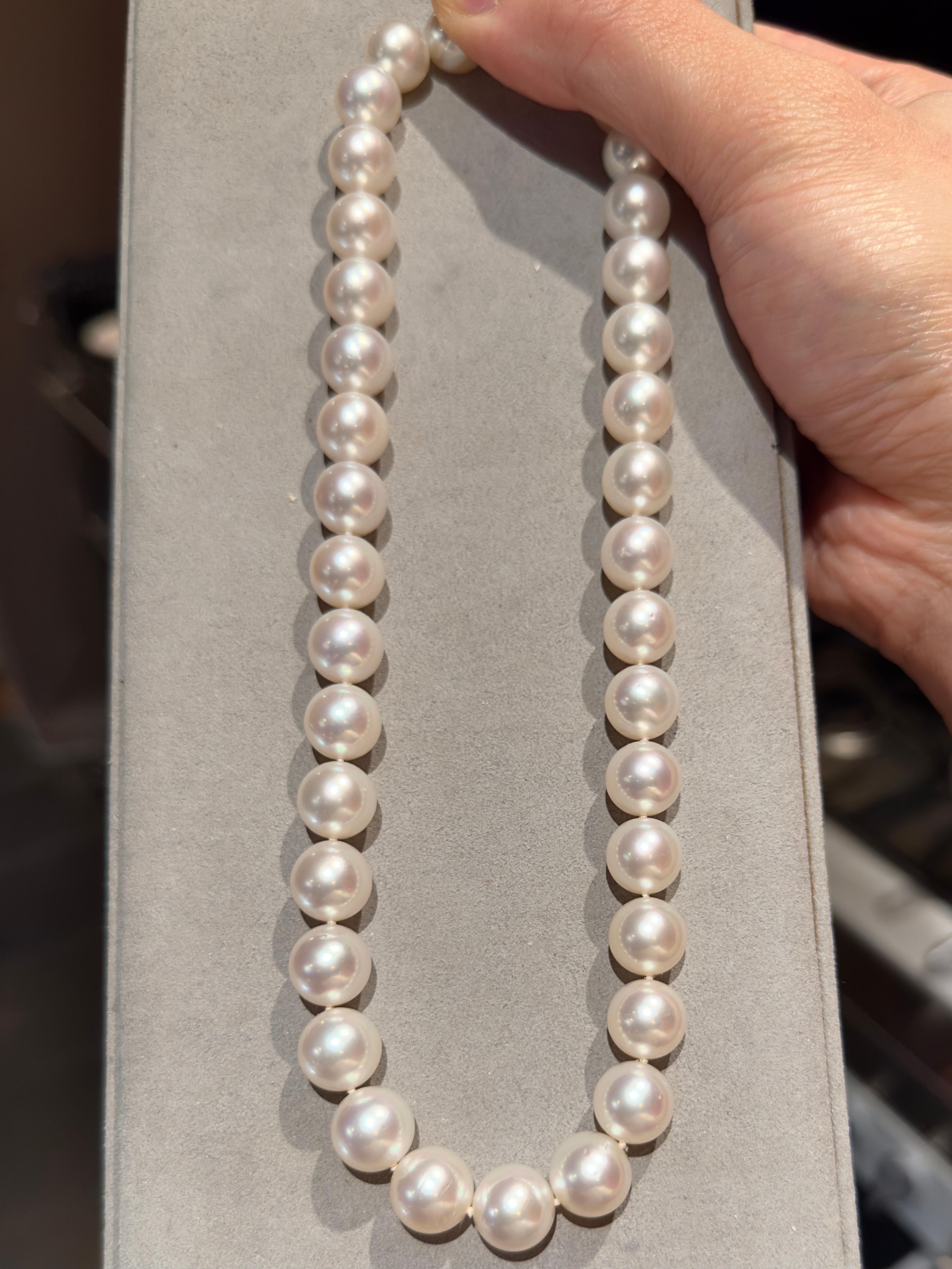 Eostre Australian South Sea  Pearl Strand Necklace In New Condition For Sale In Melbourne, AU