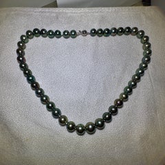 Eostre Schwarze Tahiti-Perlenhalskette mit 18 Karat Verschluss