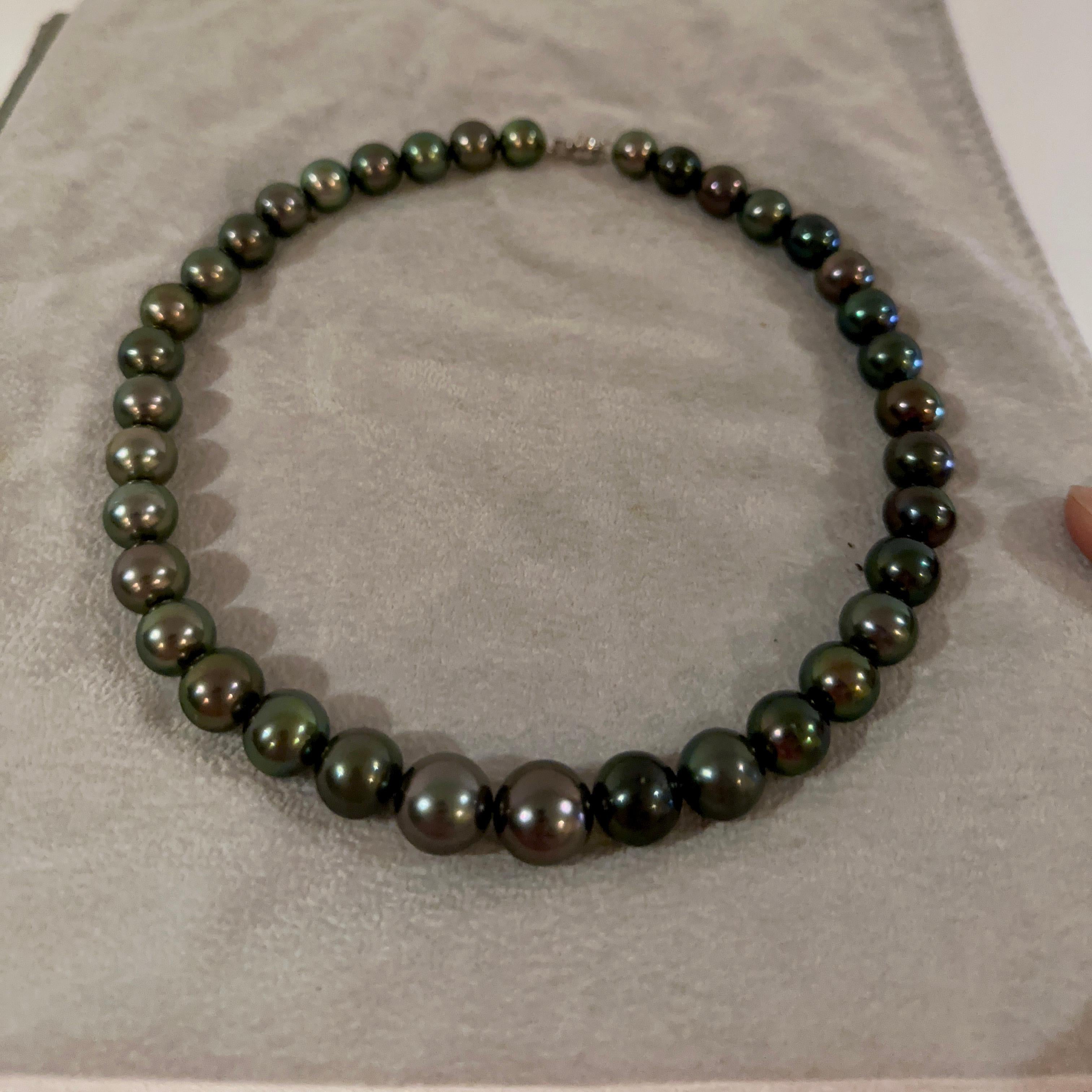 Women's Eostre Black Tahitian Pearl Strand Necklace with 18K Clasp For Sale