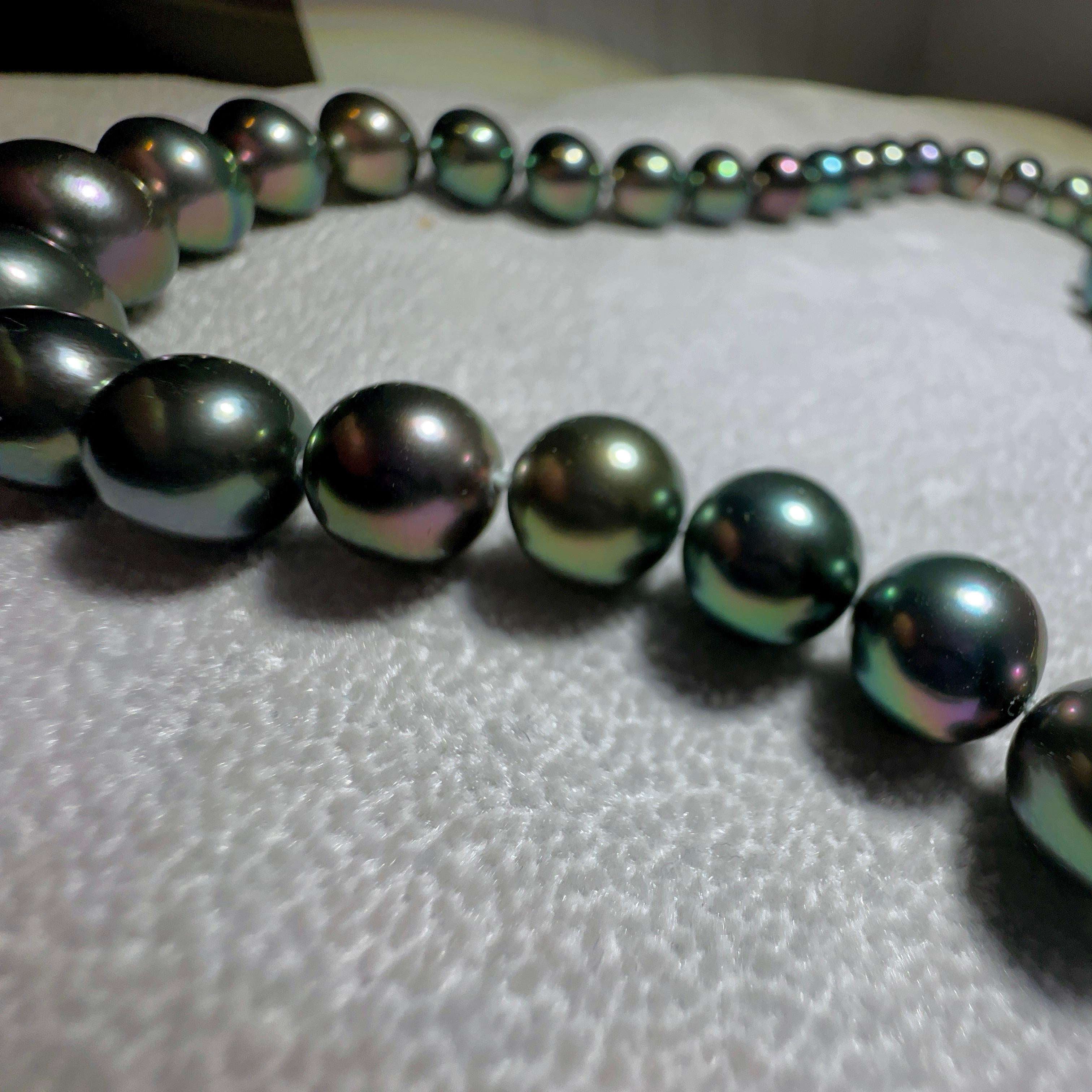 Women's Eostre Black Tahitian Pearl Strand Necklace with 18k Clasp For Sale