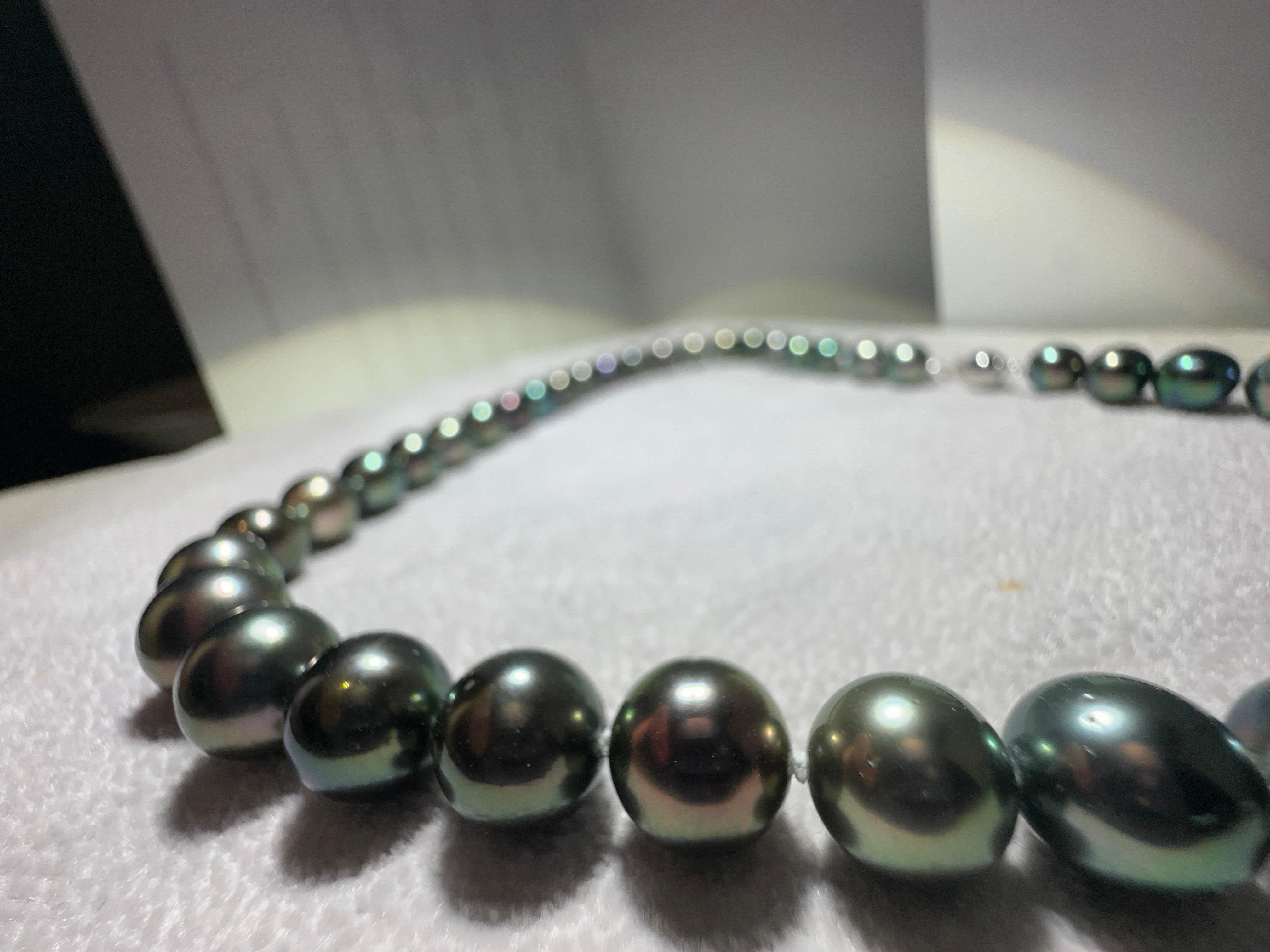 Eostre Black Tahitian Pearl Strand Necklace with 18k Clasp For Sale 1