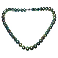 Eostre Black Tahitian Pearl Strand Necklace with 18k Clasp