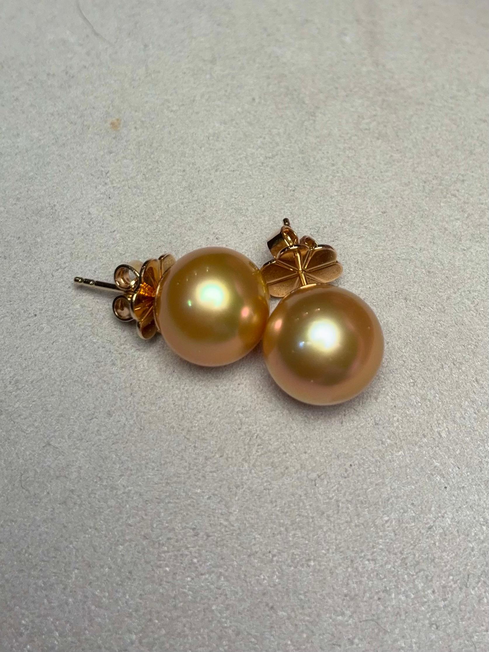 Contemporain Eostre perle dorée des mers du Sud  Clous d'oreilles en or 18k en vente