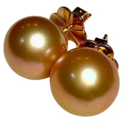 Eostre Goldene Südseeperlen-Perle  Ohrstecker aus 18 Karat Gold