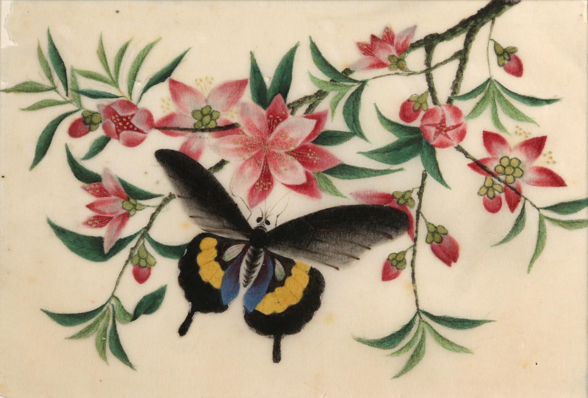 Ephemeral Beauty: Set of Six Chinese Export 