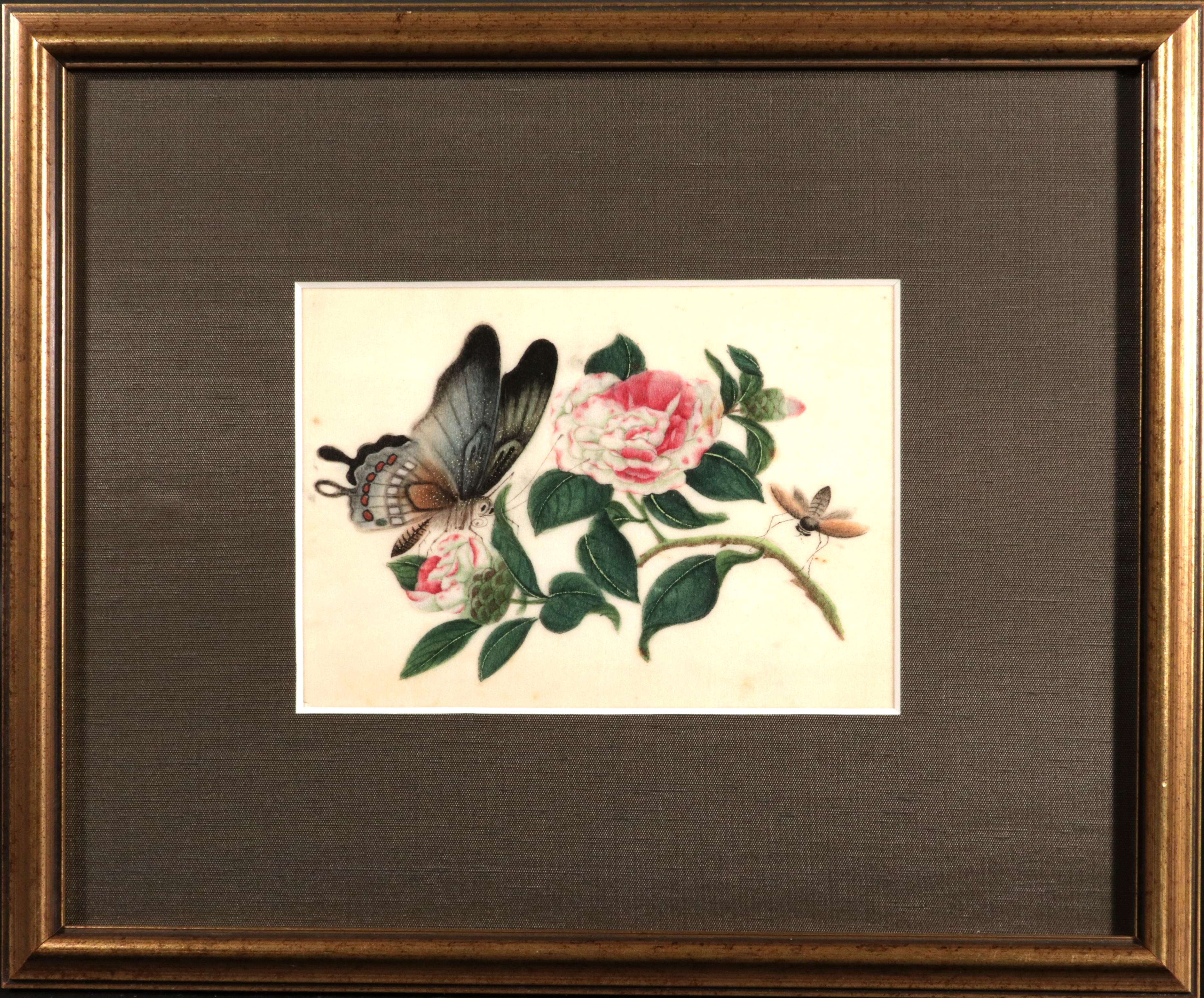 Ephemeral Beauty: Set of Six Chinese Export 