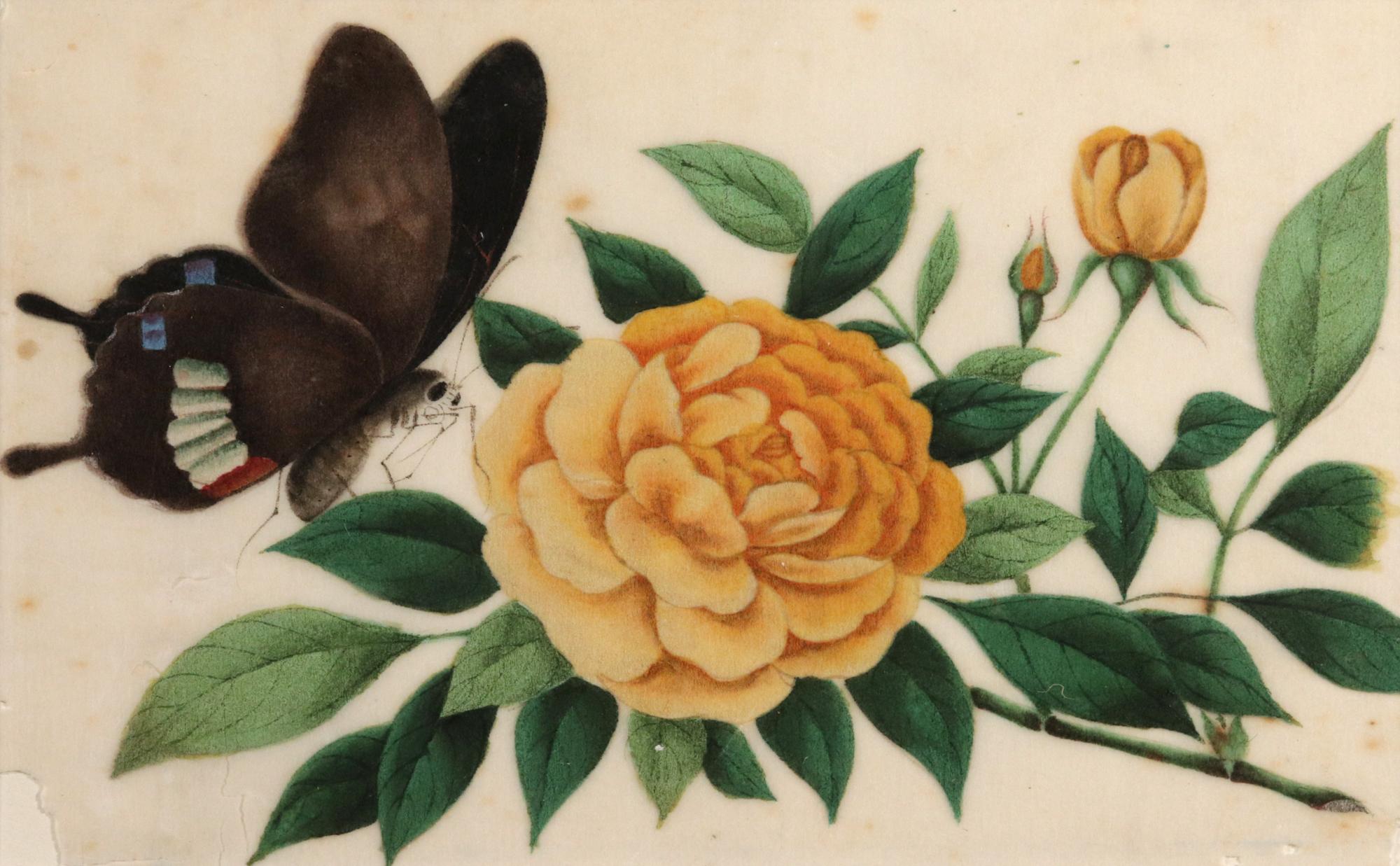 Ephemeral Beauty: Set of Six Chinese Export 