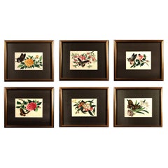 Ephemeral Beauty: Set of Six Chinese Export "Pith Paper" Paintings of Butterflie
