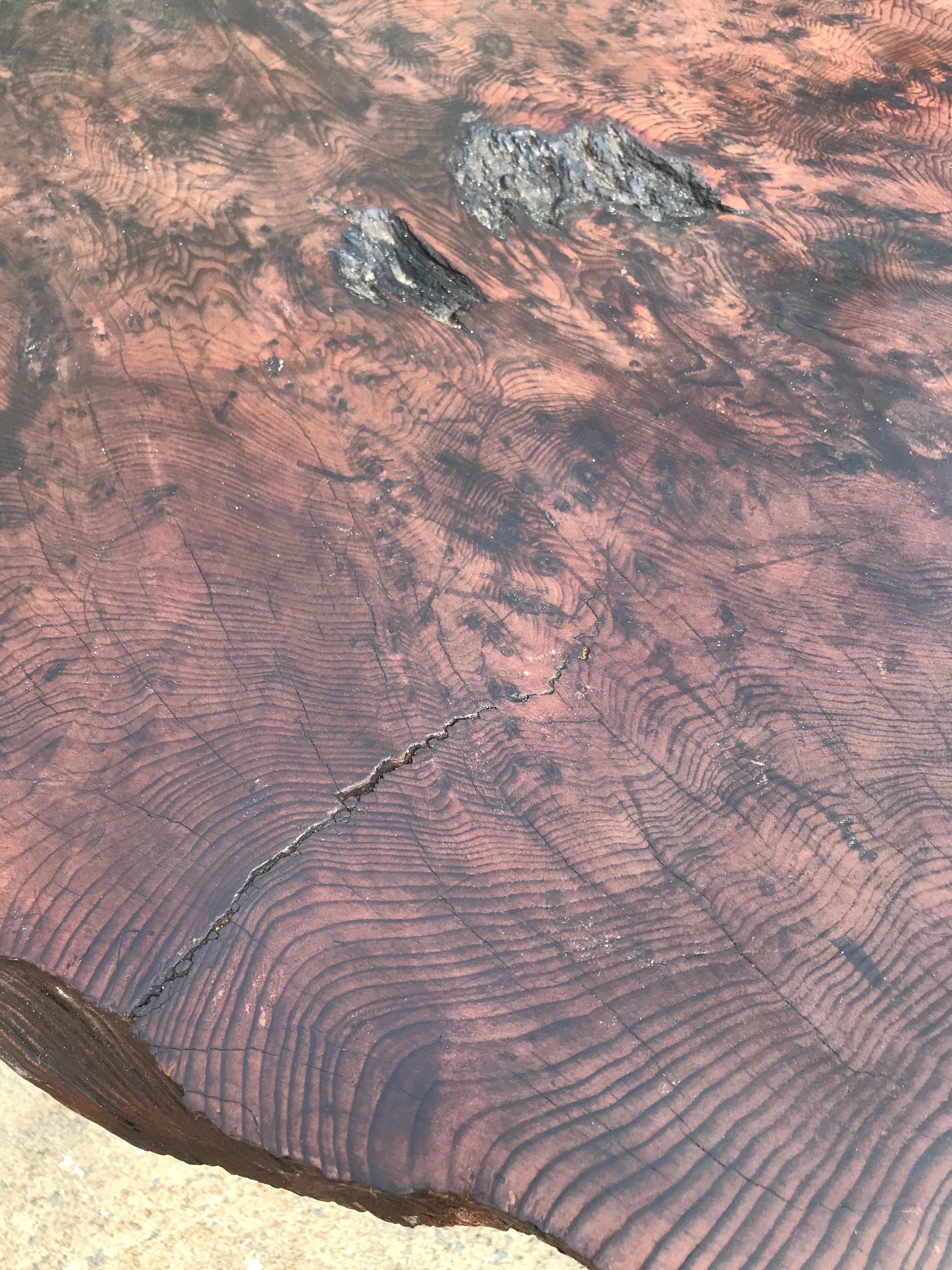 Epic Live Edge California Redwood Coffee Table For Sale 8