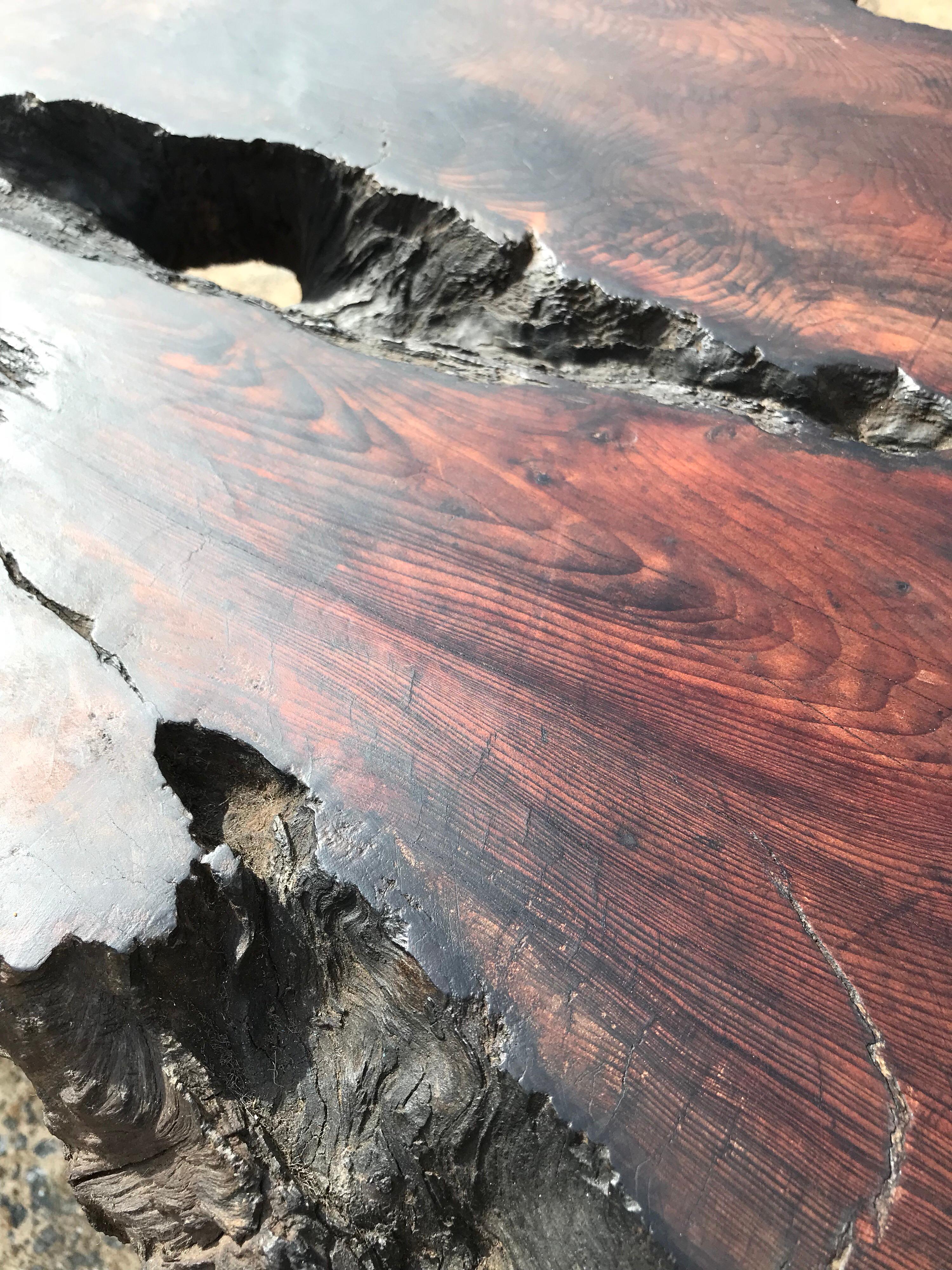20th Century Epic Live Edge California Redwood Coffee Table For Sale
