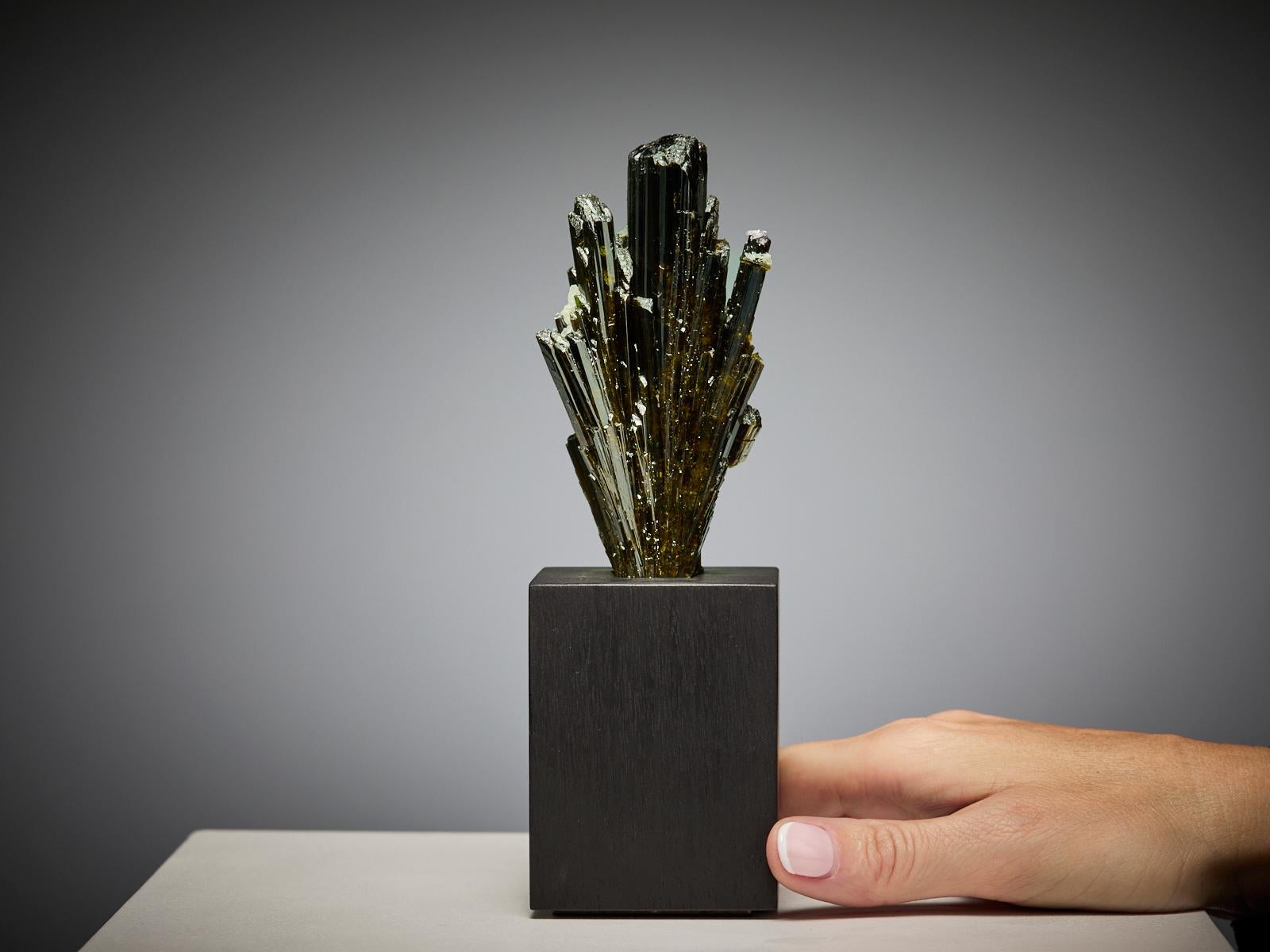 An exceptional cluster of lustrous epidote crystals from Casca, La Libertad, Peru, rising in sharp, elongated formations with a deep green tone that shifts to almost black in subdued light. Under illumination, the crystals reveal vivid green
