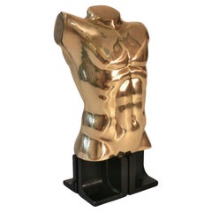 Epigastric torso