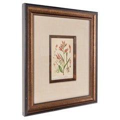 Epipactis Rubra Flower Framed Botanical Print