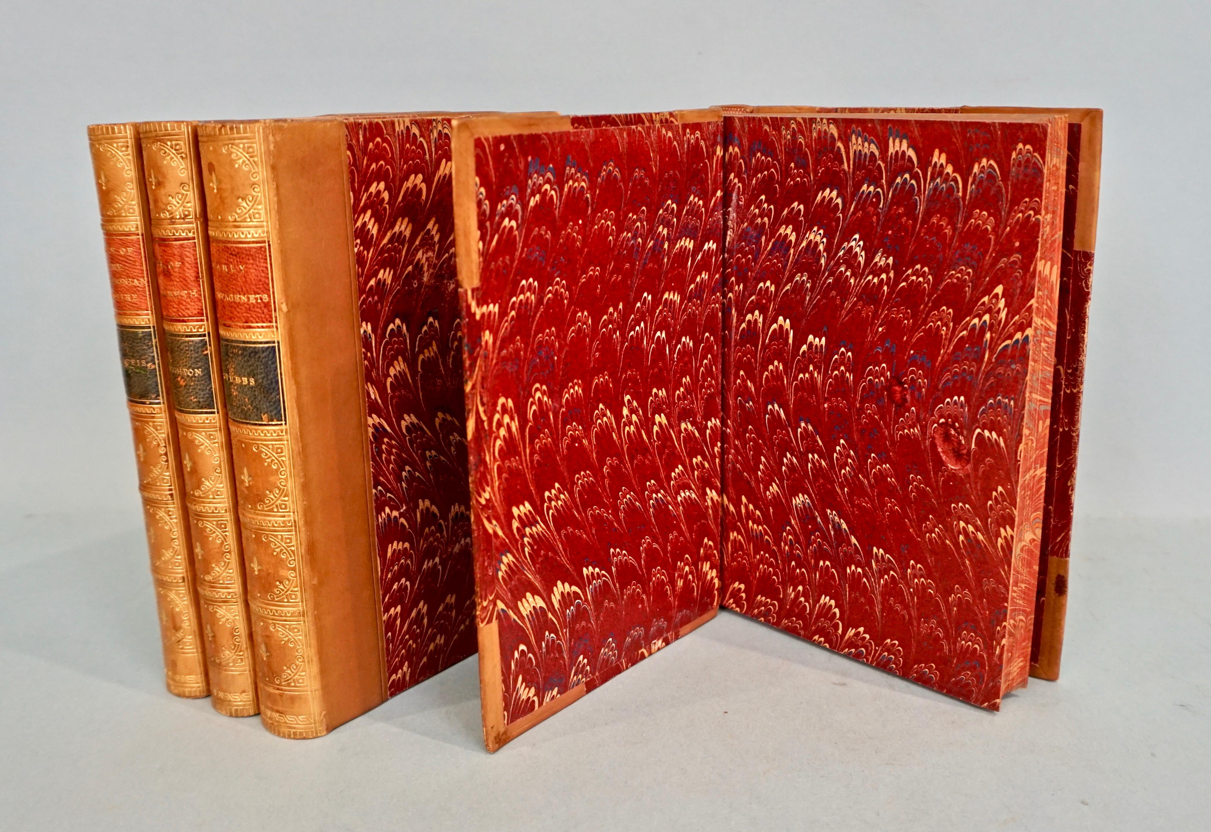 19th Century Epochs of Ancient History in 20 Volumes Bound in Tan Leather