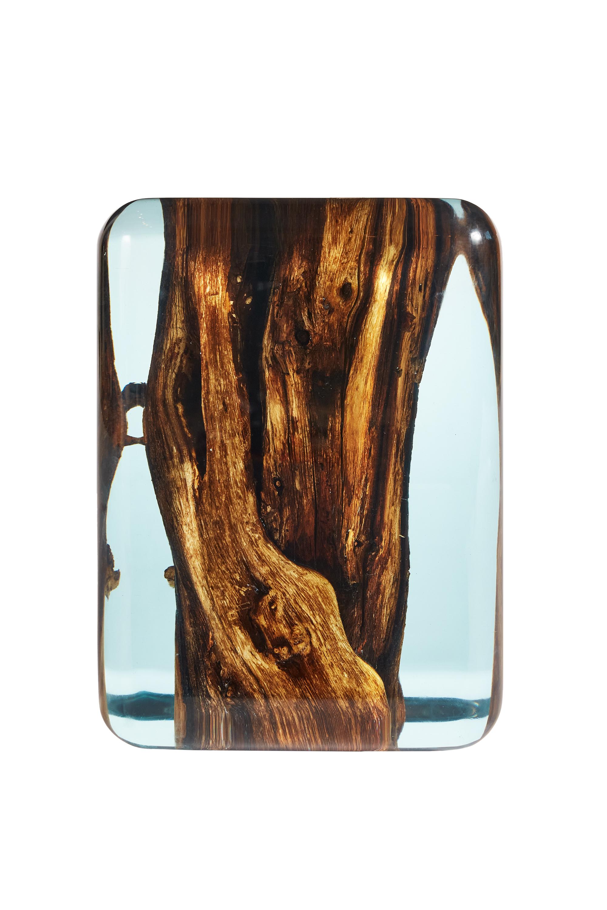 epoxy tree stump