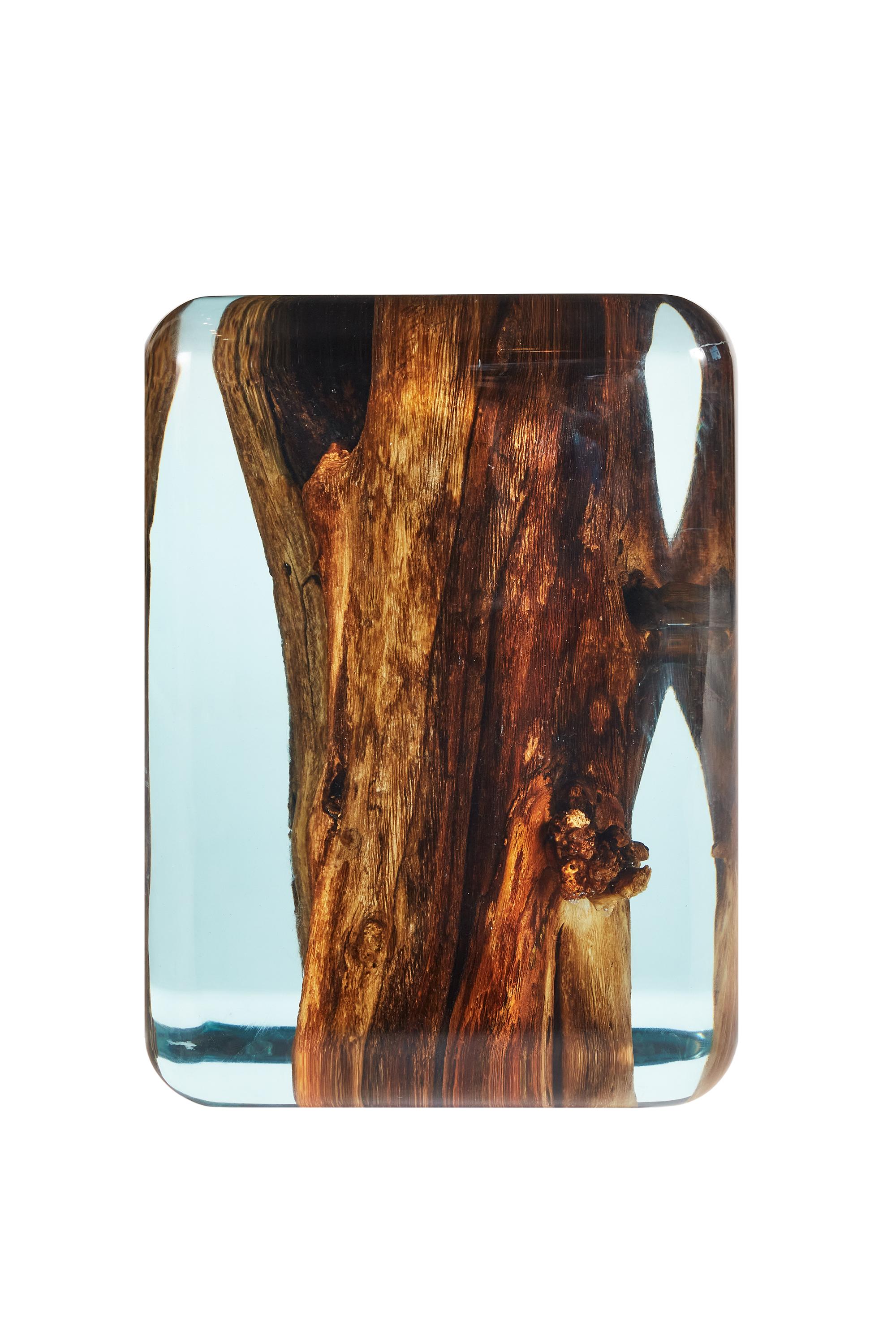 epoxy resin tree stump table