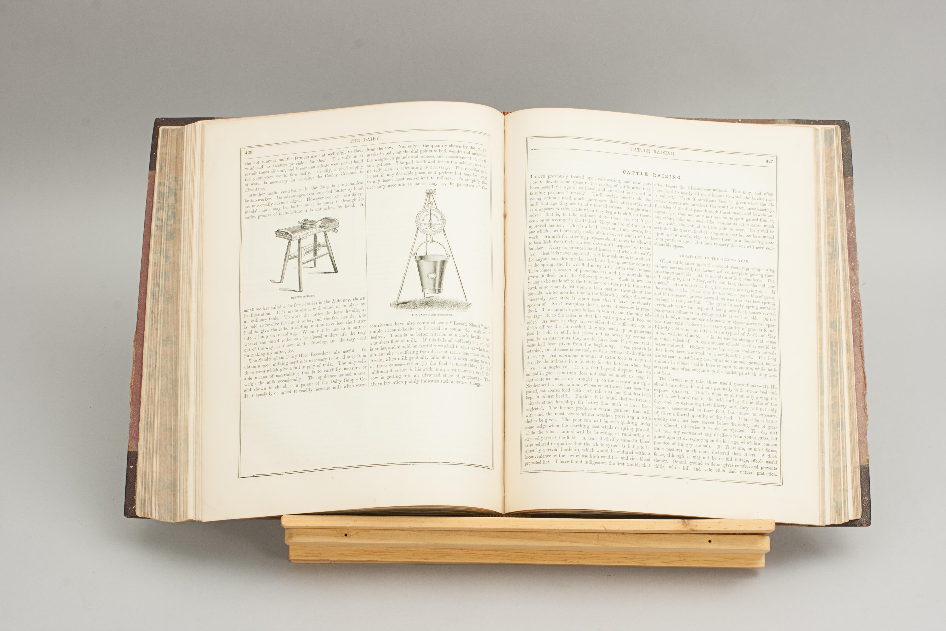 Libro Equestre, Maniscalco Pratico Moderno in vendita 7