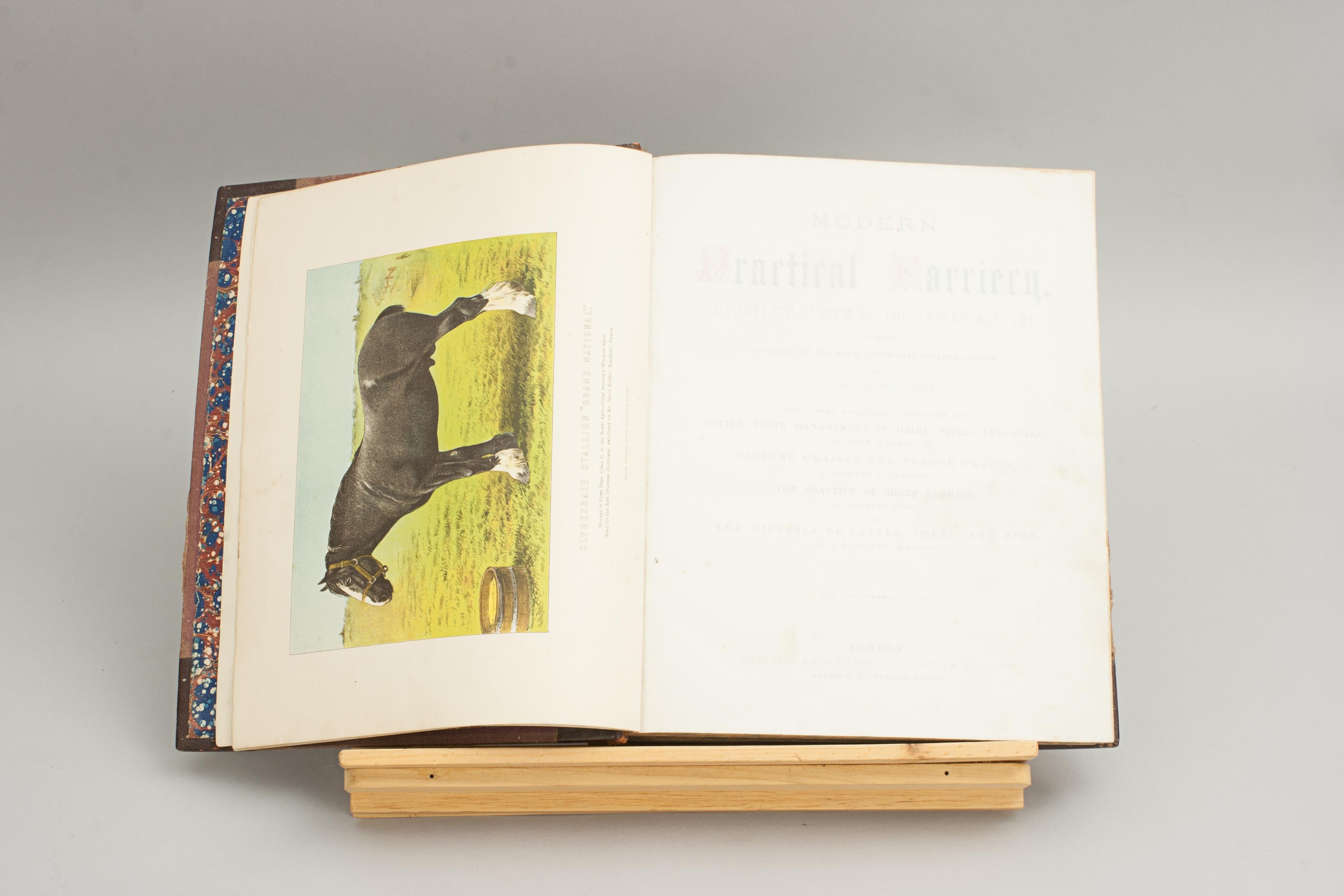 Libro Equestre, Maniscalco Pratico Moderno in vendita 10