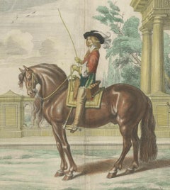 Equestrian Dressage Horse Print Original Handcolored Antique Engraving , 1743