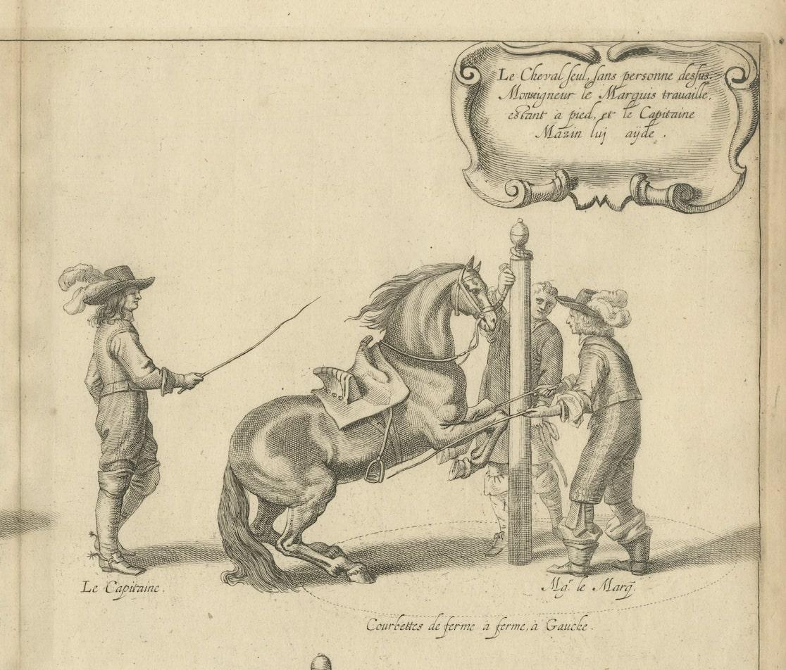 Equestrian Engravings of Cavendish's General System of Horsemanship, 1743 In Good Condition For Sale In Langweer, NL