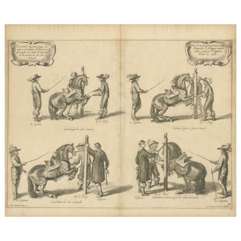 Equestrian Engravings of Cavendish's General System of Horsemanship, 1743