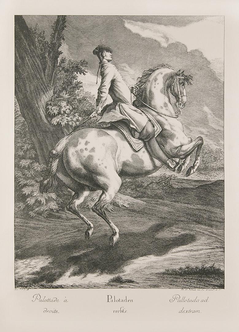 Four Equestrian Portraits Jon. El Ridinger Etchings In Good Condition In New York, NY