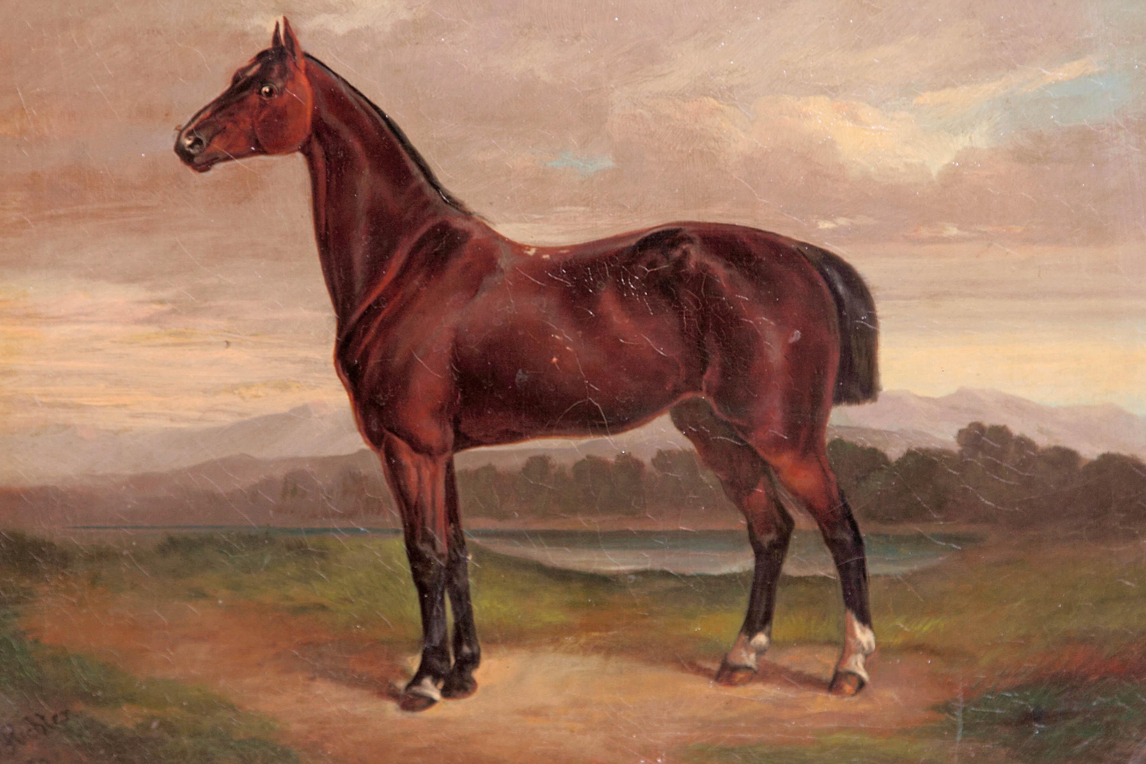 A beautifully painted portrait of a horse by German artist Albert Richter (1845-1898). An oil on canvas painted in a realistic manner, signed and dated (1870) lower left corner, late 19th century, Germany. The canvas measures: 16.5