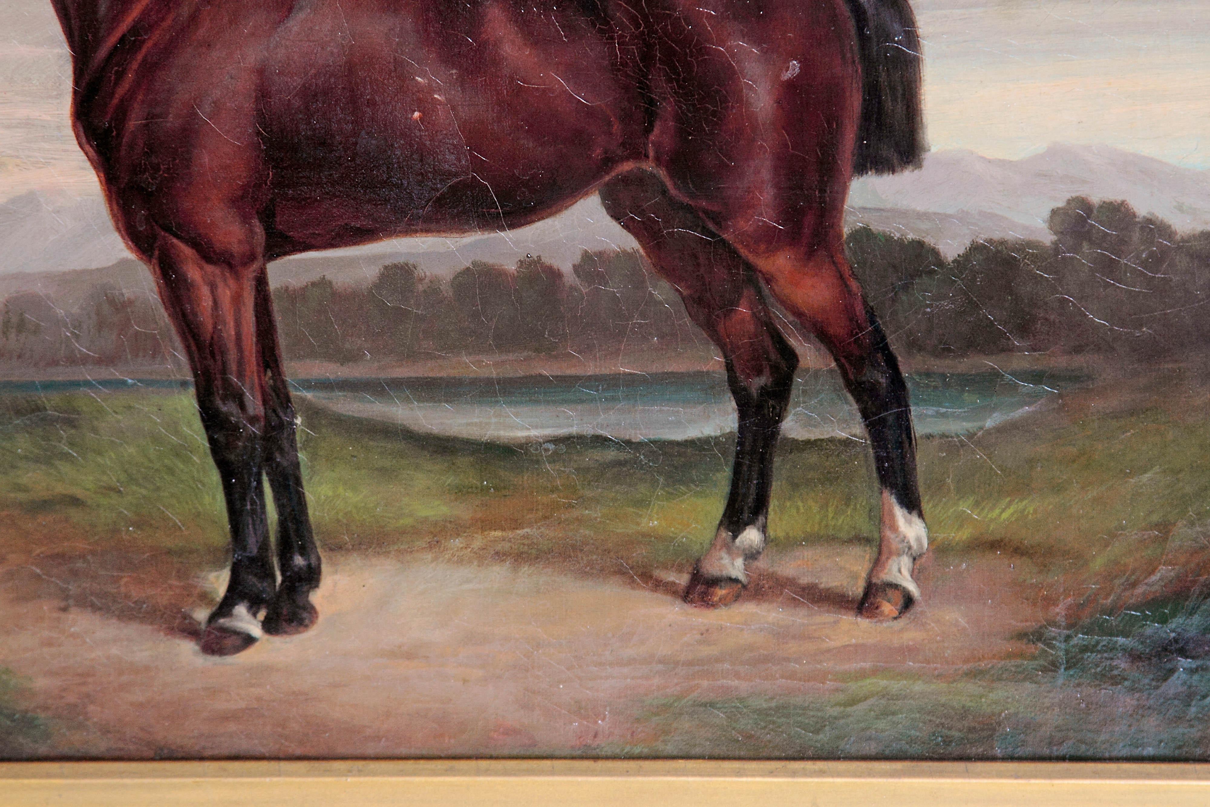 Painted Equine Portrait by German Artist Albert Richter
