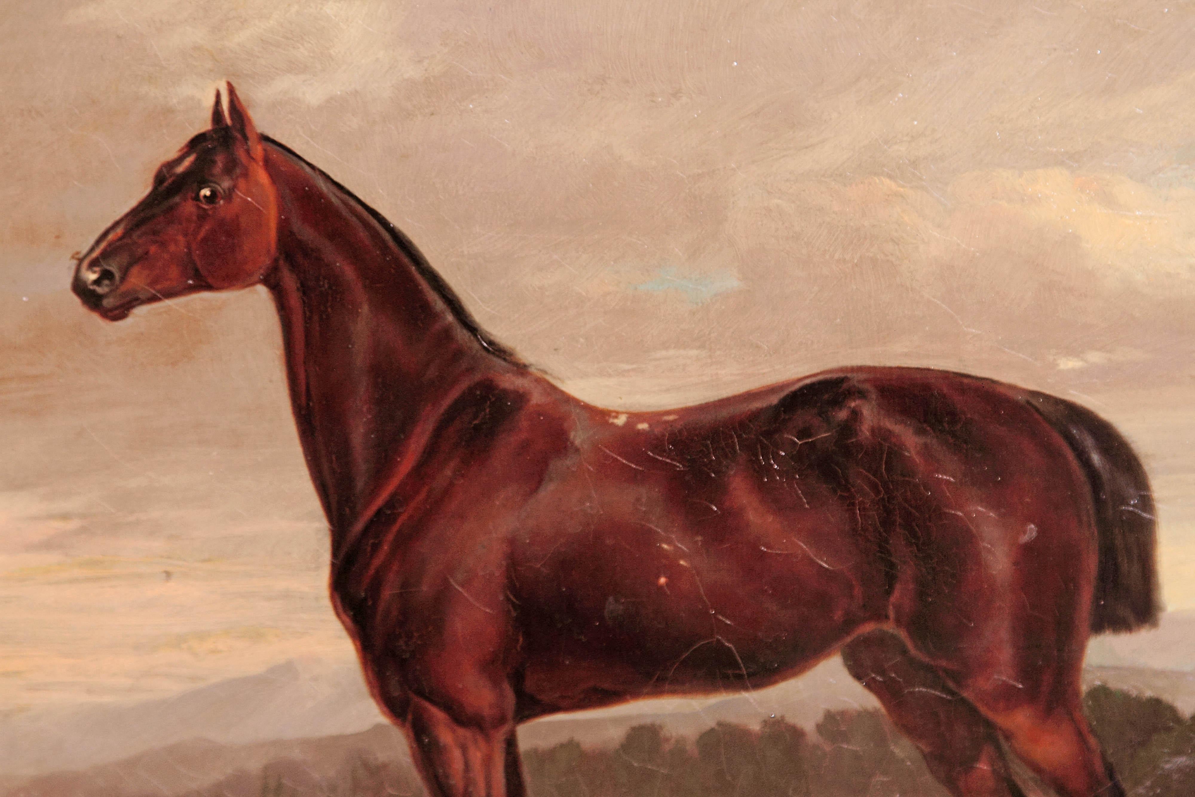 19th Century Equine Portrait by German Artist Albert Richter