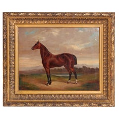Antique Equine Portrait by German Artist Albert Richter