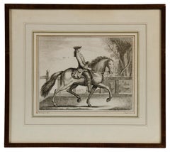 Conjunto de 4 grabados de equitación de la célebre casa Diderot et d' Alembert