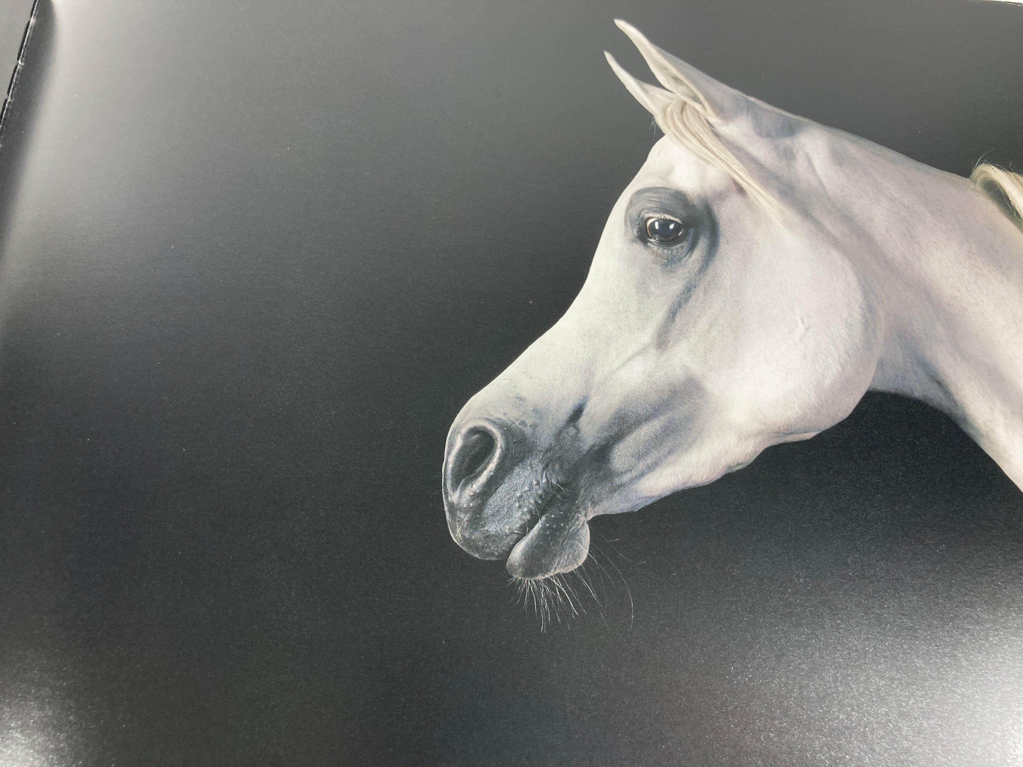 Equus by Tim Flach Large Hardcover Large Table Book 1st Edition 1