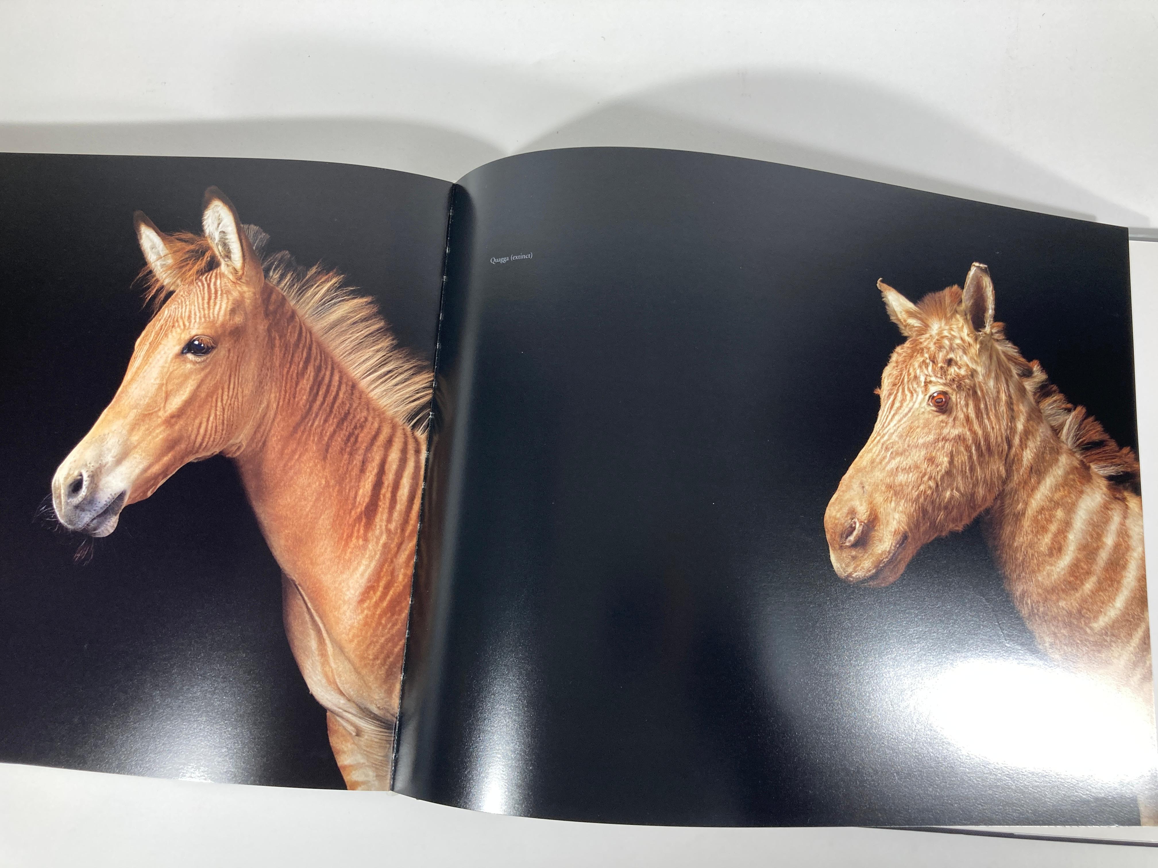 Equus by Tim Flach Large Hardcover Large Table Book 1st Edition 4