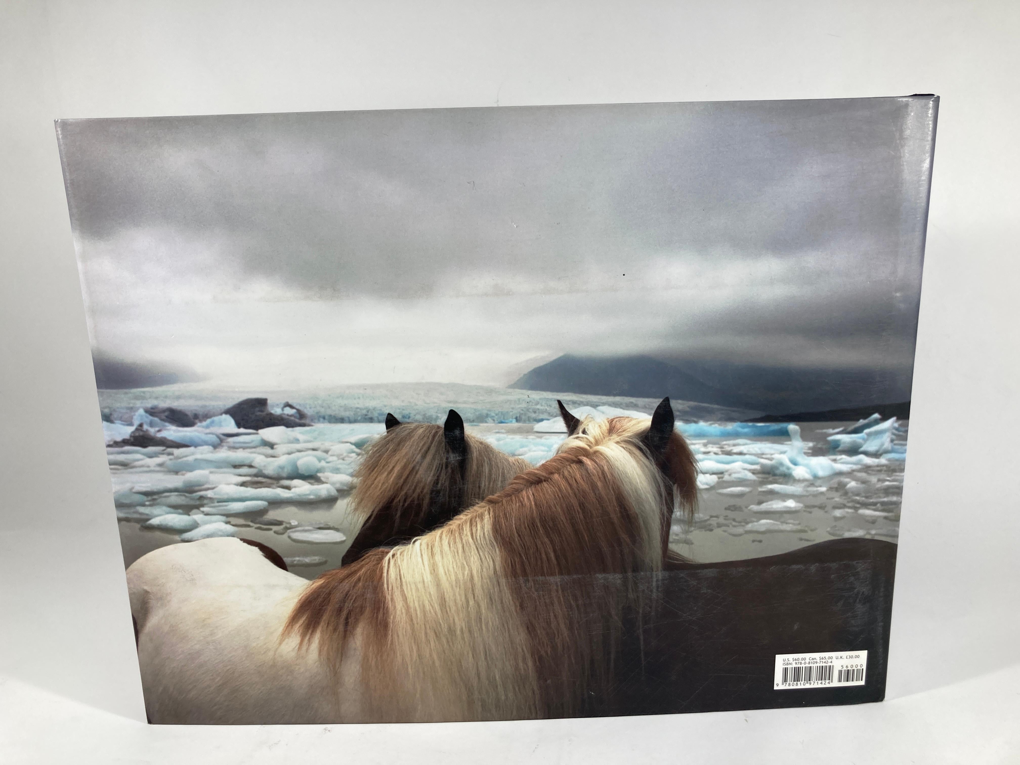 Expressionist Equus by Tim Flach Large Hardcover Large Table Book 1st Edition
