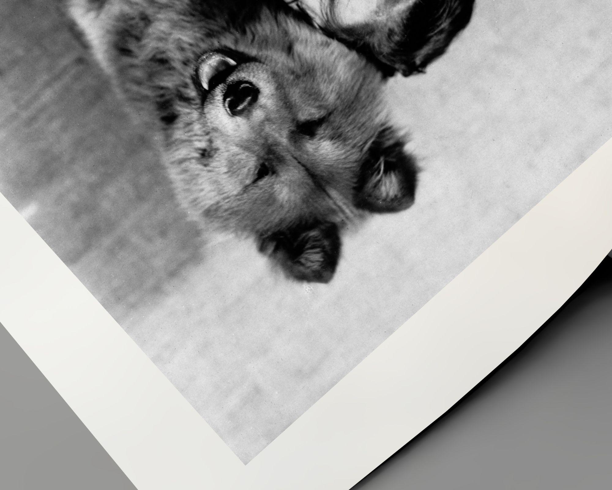 Clara Bow in posa con il cane - Photograph Contemporaneo di ER Richee
