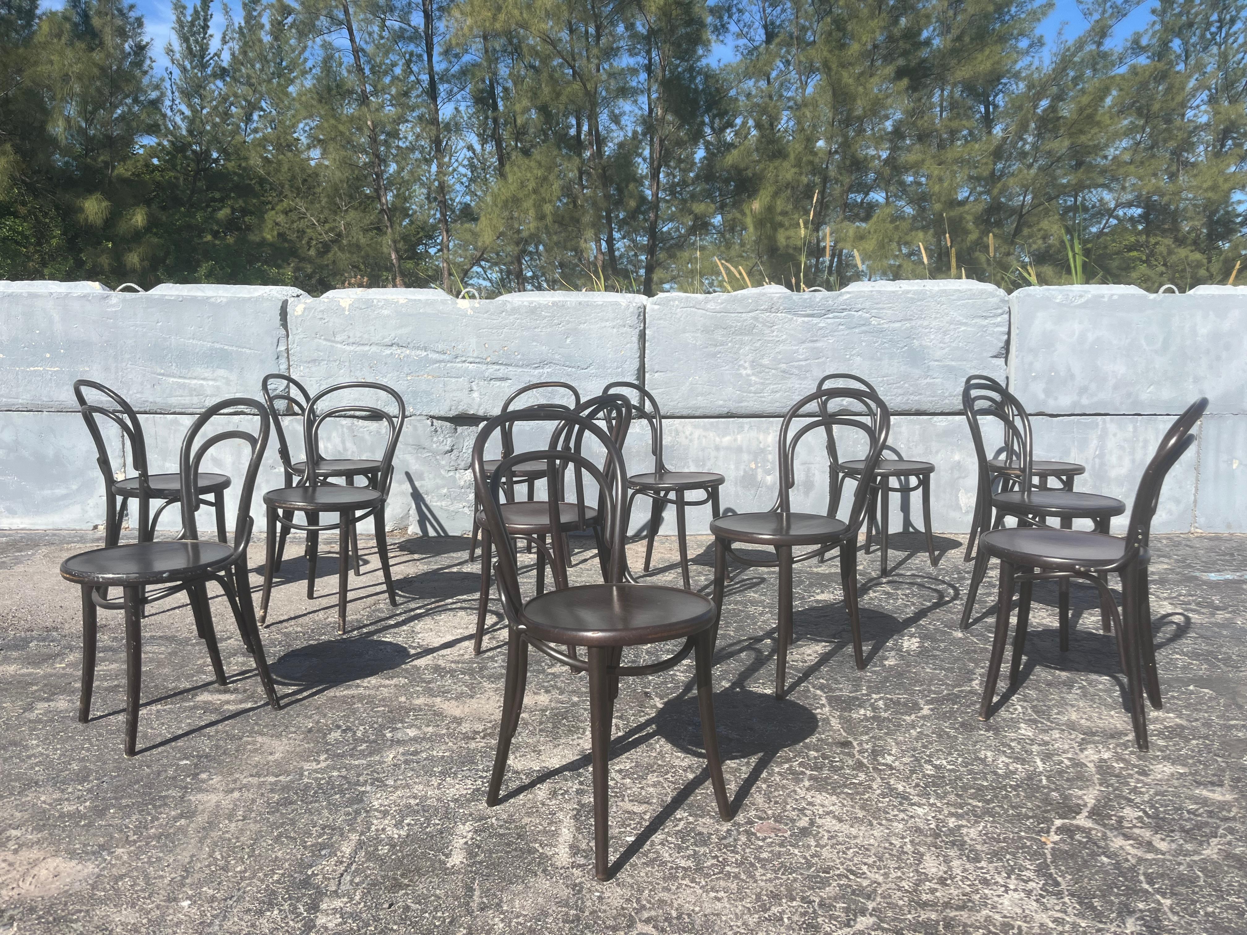 Era Chair by Ton, Bentwood Chairs, Thonet Style For Sale 7