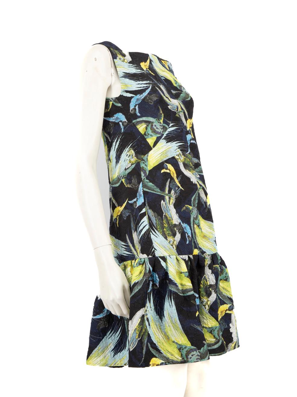 CONDITION is Very Good. Hardly any visible wear to the dress is evident on this Erdem designer resale item.
 
 
 
 Details
 
 
 Multicolour
 
 Polyester
 
 Dress
 
 Bird print
 
 Knee length
 
 Sleeveless
 
 Square neck
 
 Back zip and hook