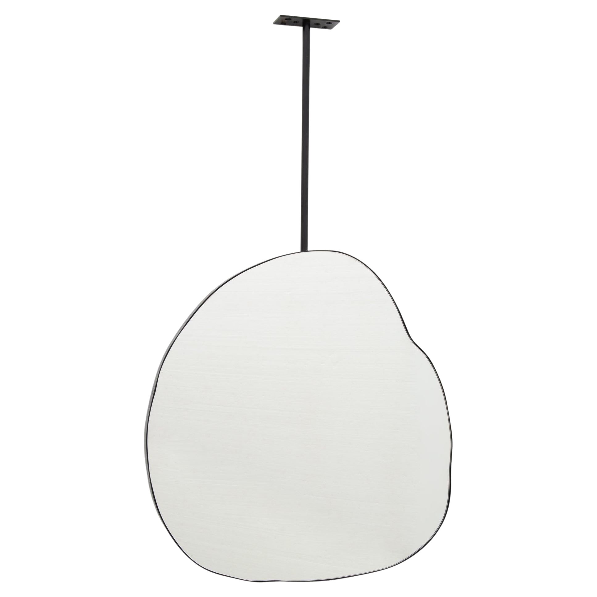 Ergon Ceiling Suspended Organic Freeform Mirror with Modern Matte Black Frame For Sale