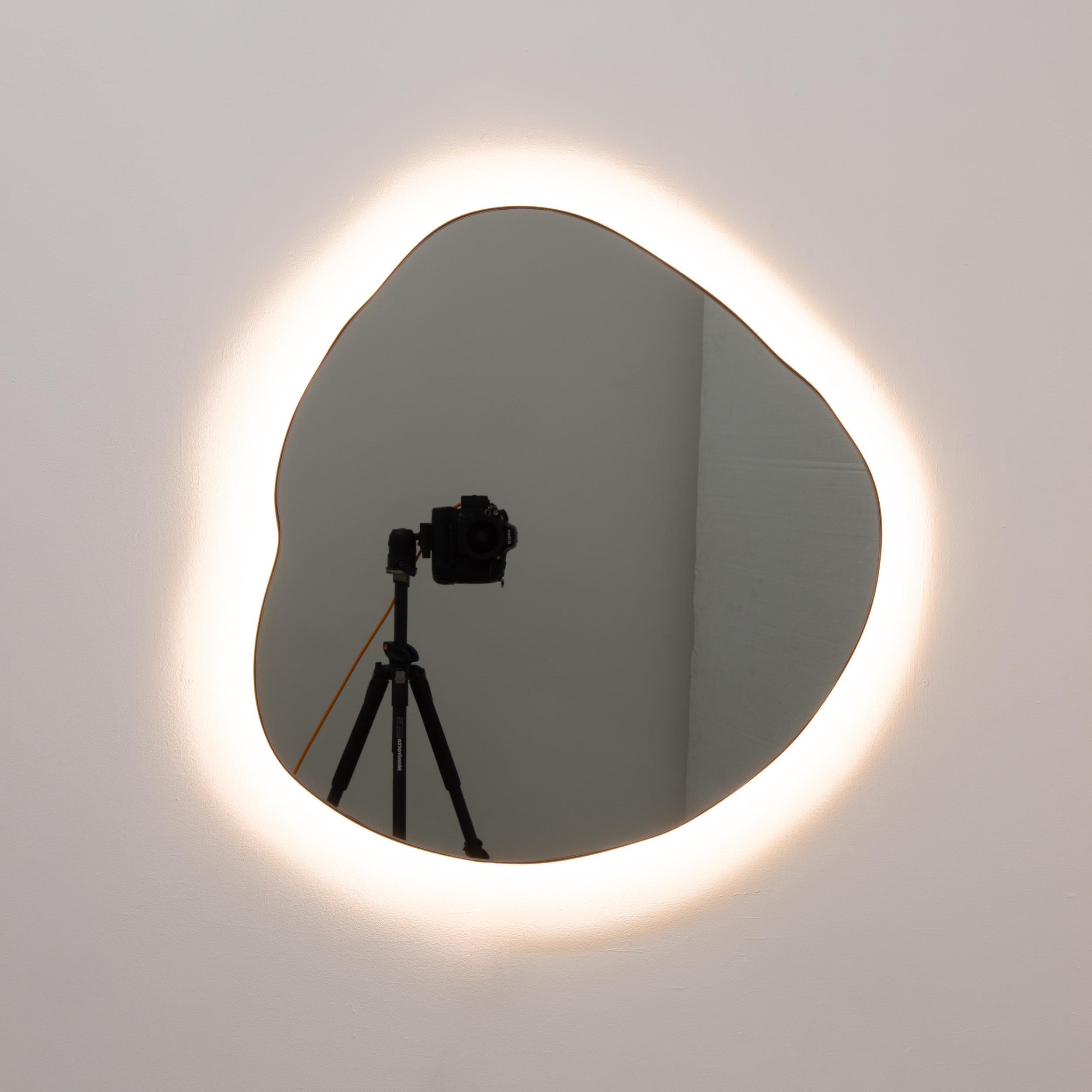 Ergon Organic Freeform Illuminated Modern Black Mirror, Bronze Patina Frame, XL (miroir noir éclairé de forme libre) en vente 1