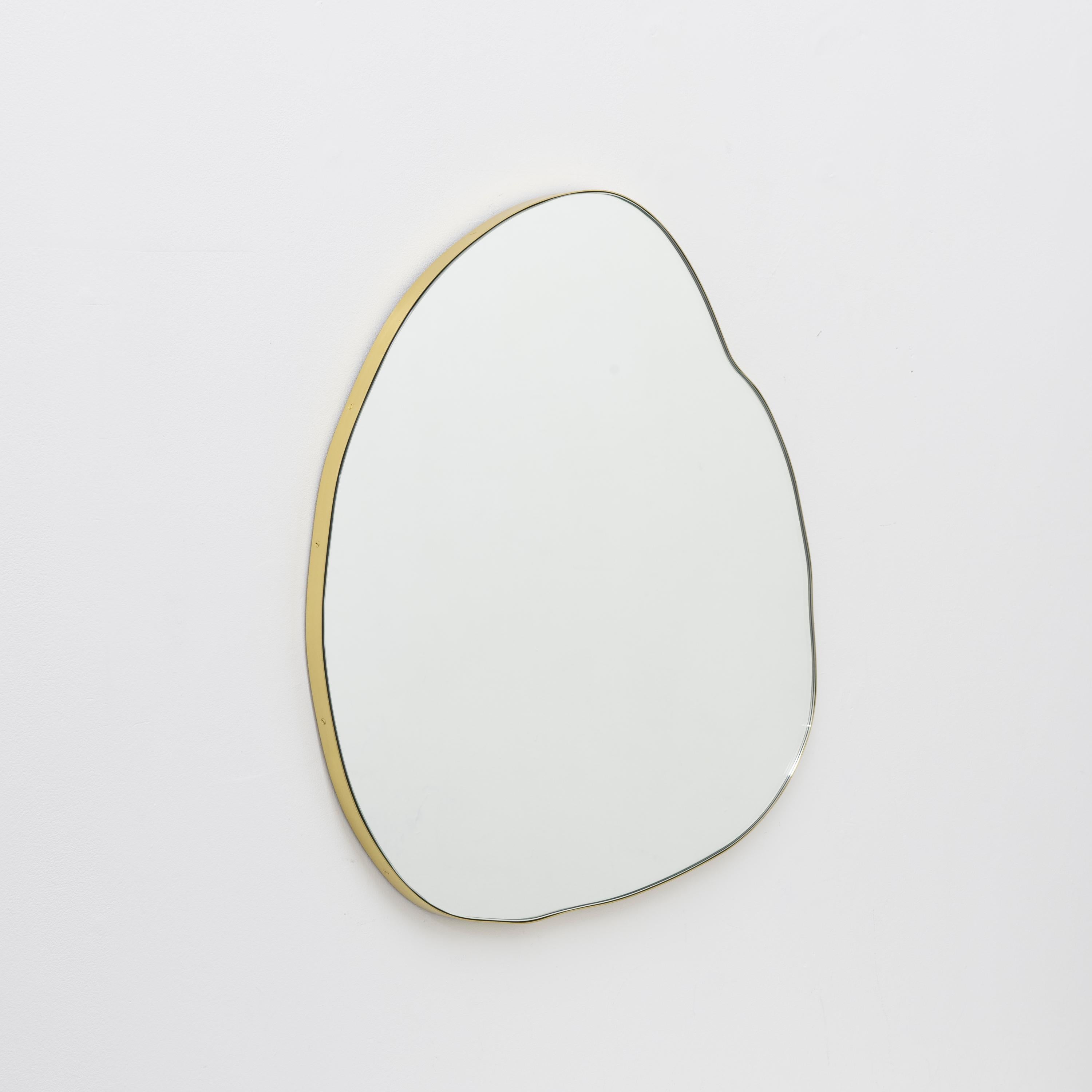 Organic Modern Ergon Organic Irregular Shape Contemporary Mirror with Brass Frame, XL For Sale