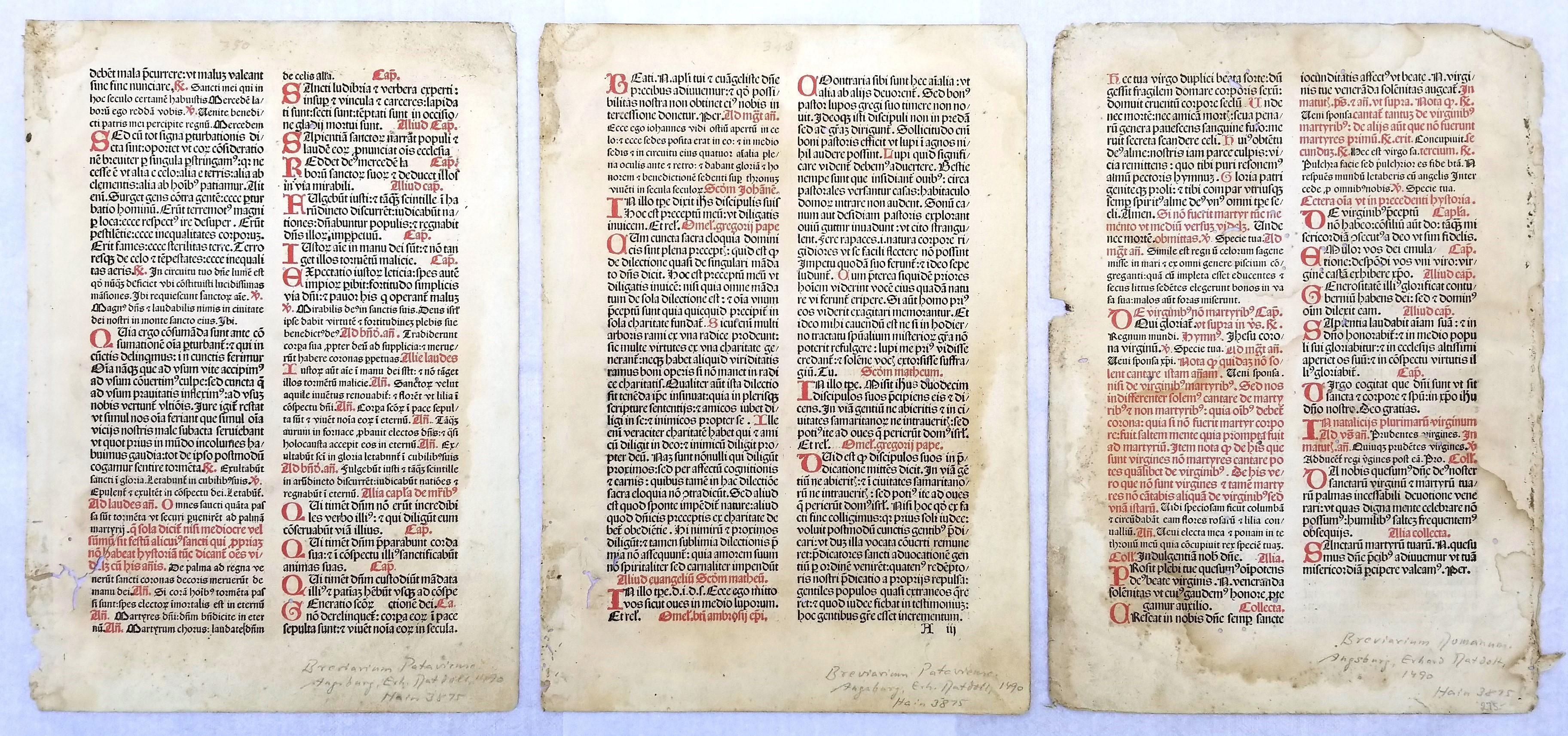 Set di tre foglie dal "Breviarium Pataviense" /// Incunaboli cattolici tedeschi