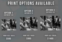 Dorothy in Kansas: A Scene from "The Wizard of Oz" Fine Art Print