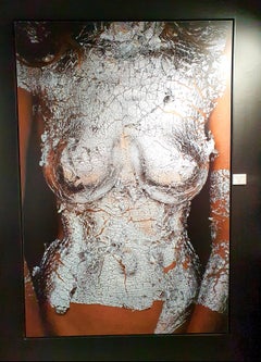NUDE - THE PAINTERS PROJECT -  Sophie Coucke