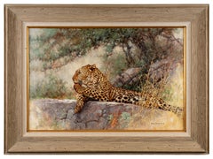 Cheetah