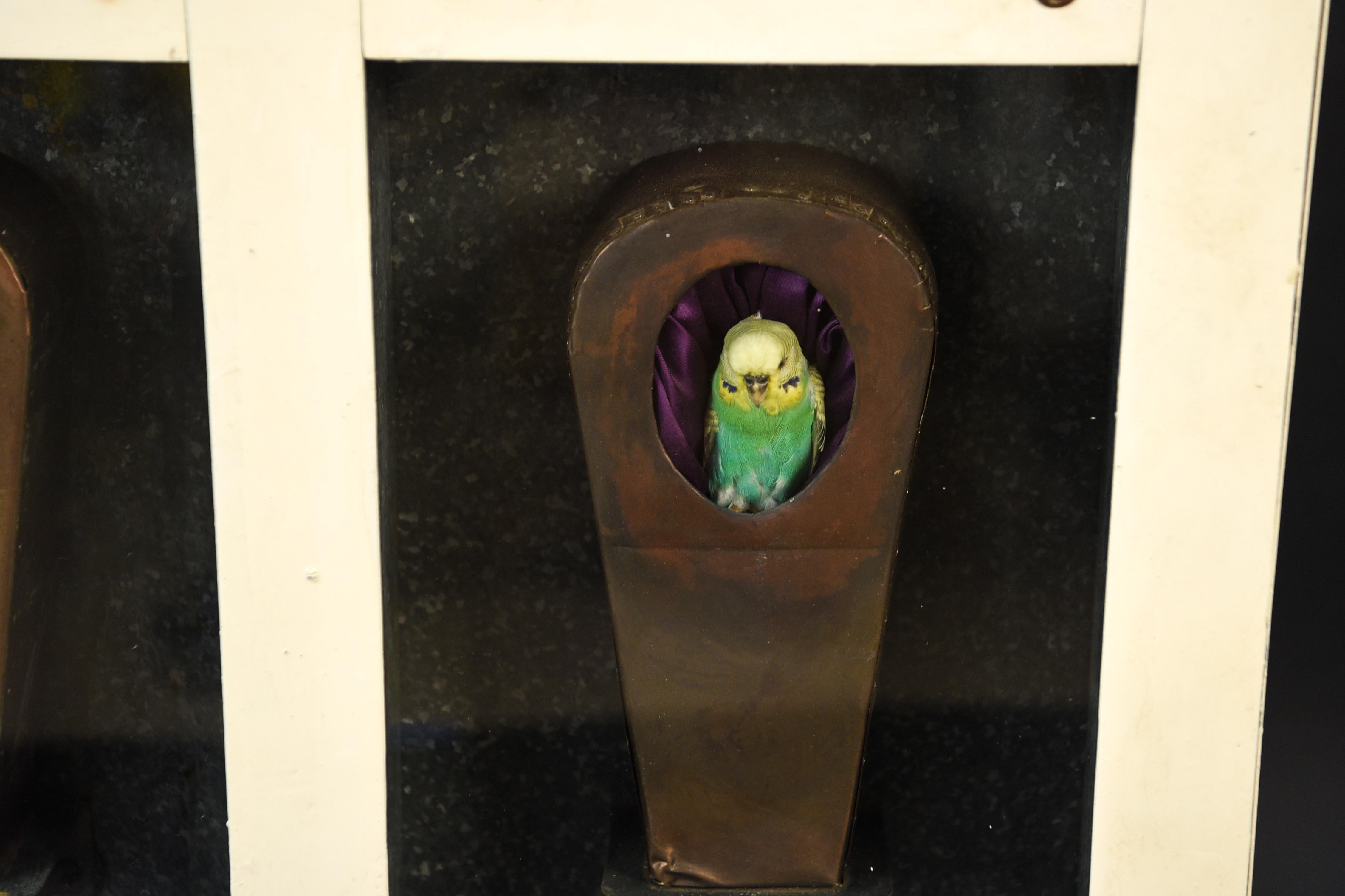 Untitled (Parakeet Coffin Sculpture), mixed-media, 1988 by Eric Goode.
This unique piece will definitely be a conversation starter.
Label: BESS CUTLER, N.Y.C.
Provenance: From the collection of Marty Edelston, founder Bottom Line Publications