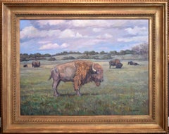 "Bison" Buffalo Landscape