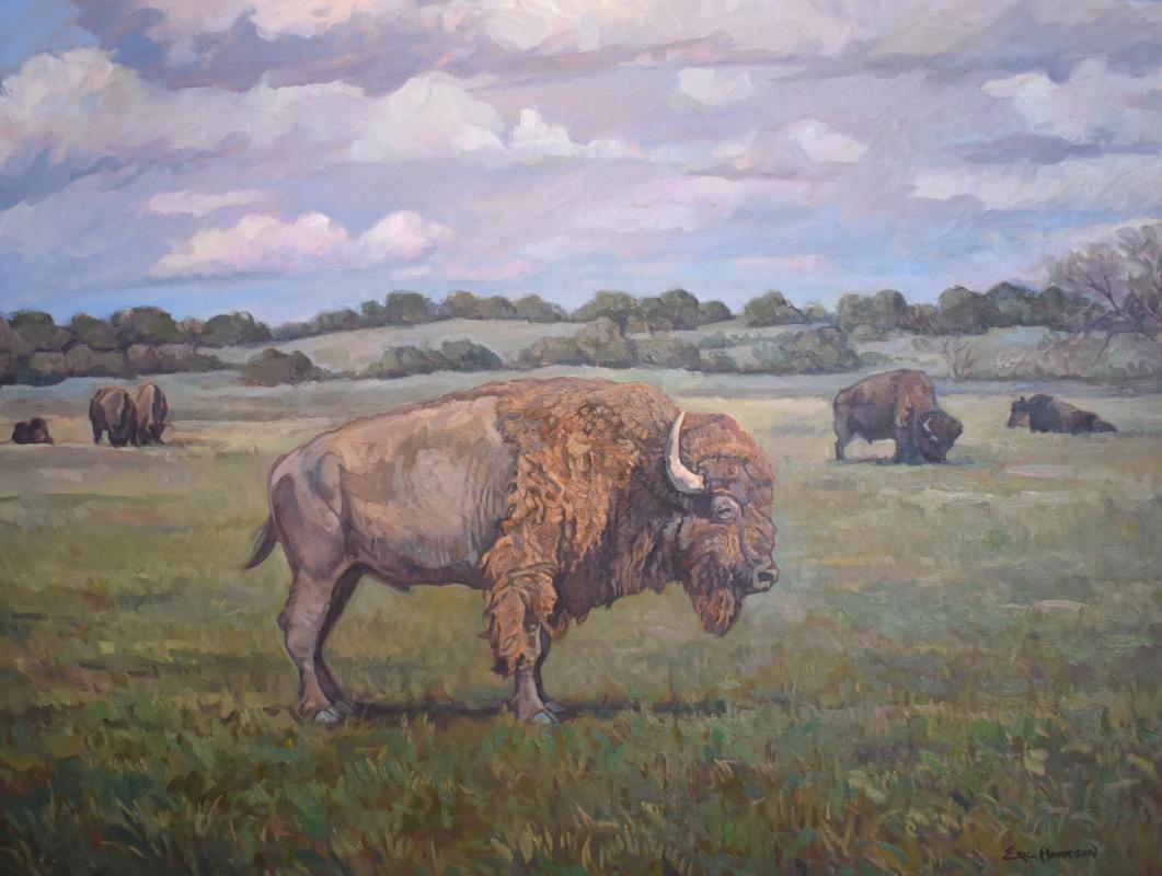 Eric Harrison Animal Painting - "Bison" Buffalo Landscape