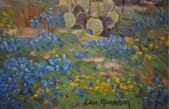 les bleuets du Texas "Hill Country Springtime"